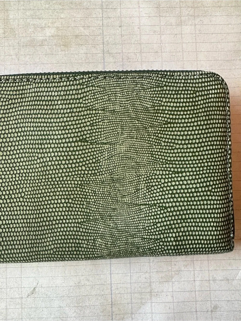 Fossil Jori Zip Clutch in Chive Green Lizard
